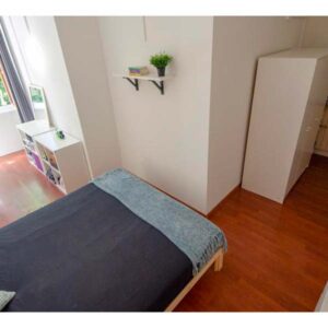 vista della stanza ampia con letto matrimoniale a uso singola e finestra con vista su alberi