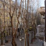 vista da balcone sul viale alberato