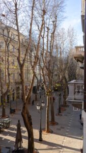 vista da balcone sul viale alberato